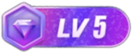 等级-LV5-IS【30】
