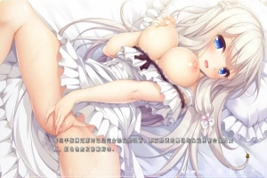 [ADV/汉化] 候鸟的梦 Pieces 渡り鳥のソムニウム 汉化版电脑 [4.4G]-IS