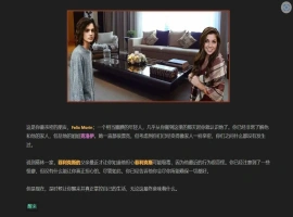 [HTML/浏览器汉化] 我的朋友 Friends of Mine V1.4 浏览器转中文 电脑 [2.5G]-IS