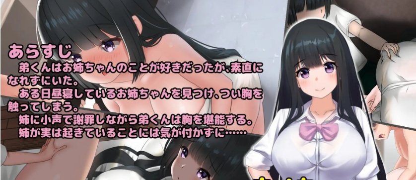 [互动触摸SLG/全动态]希望被弟袭击的姐姐 LIVE2D V1.01 步兵完全版[新作/CV][1.3G/百度]』